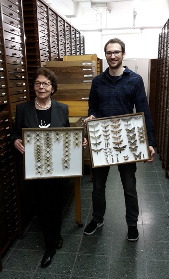 Entomologie Sammlung