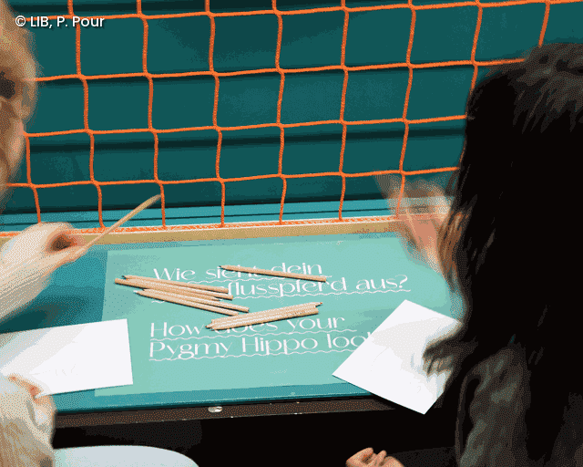 Mitmachstation in der Sonderausstellung "Menschen machen Museum"