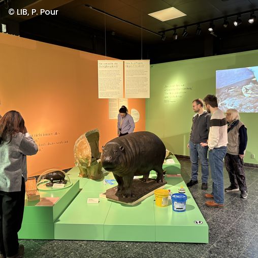 Totale des Sonderausstellungsraum mit Exponaten, Besuchenden und Infotexten.