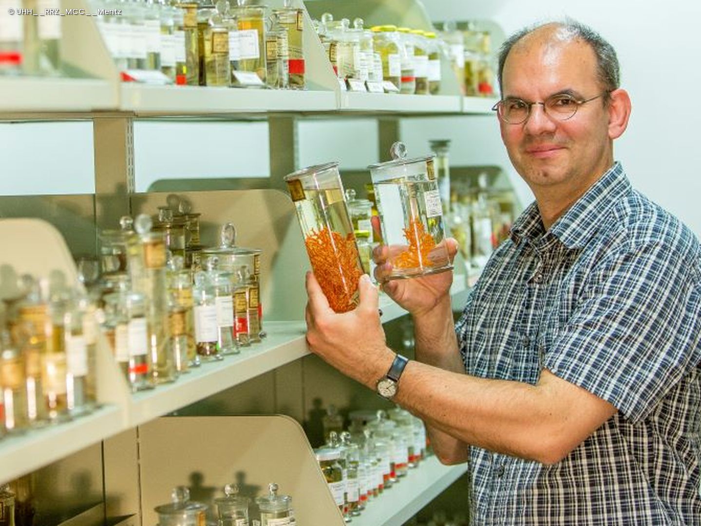 Prof. Andreas Schmidt-Rhaesa in der Wirbellosen-Sammlung