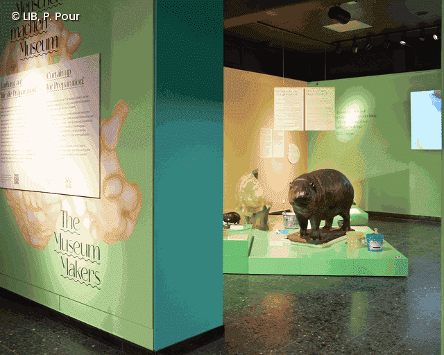 Totale der Sonderausstellung "Menschen machen Museum"