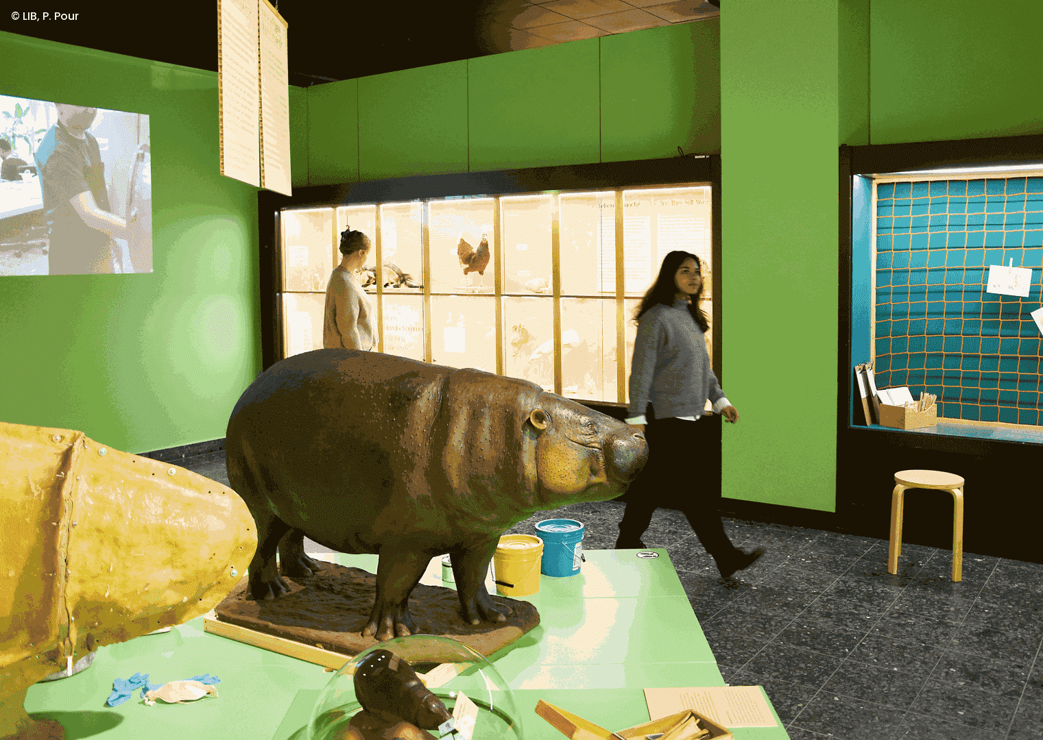 Einblicke in die Sonderausstellung "Menschen machen Museum"