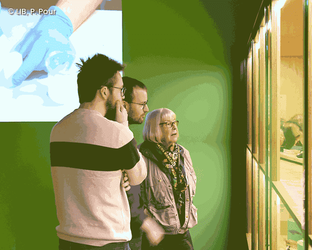 Interessierte Blicke in die Vitrine in der Sonderausstellung "Menschen machen Museum"