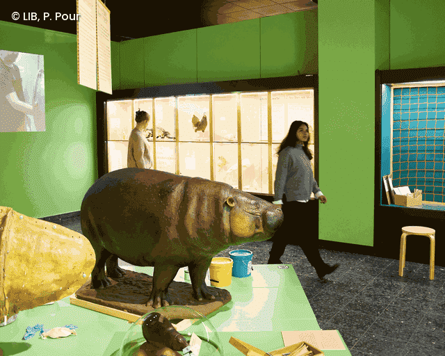 Einblicke in die Sonderausstellung "Menschen machen Museum"